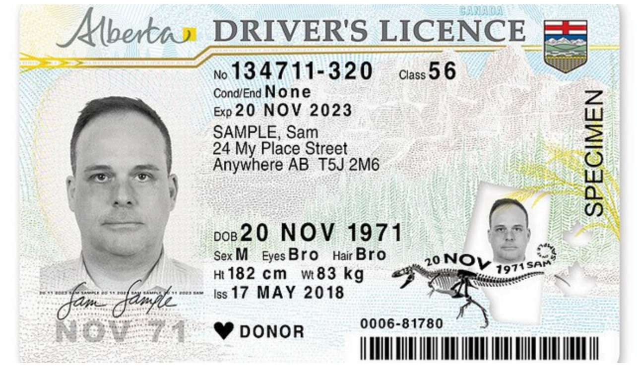 10 Alberta Driving Test Tips To Pass Easily