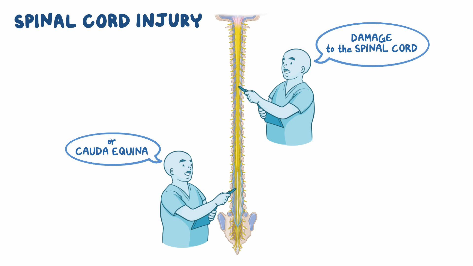 12+ Ways To Avoid Spinal Injury