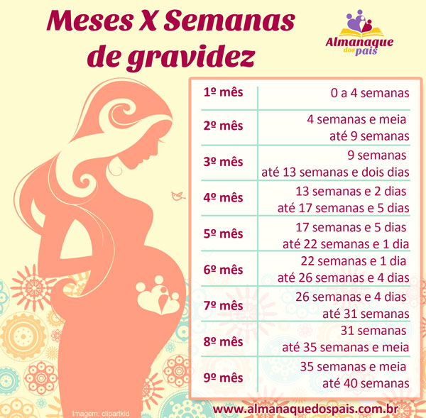 26 Semanas De Gravidez