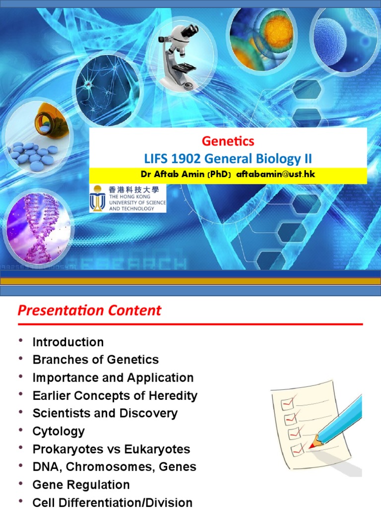 Aa Genetics Explained