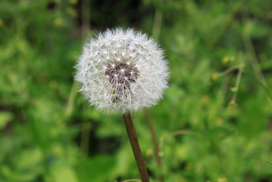 Allergies And Body Aches Symptoms