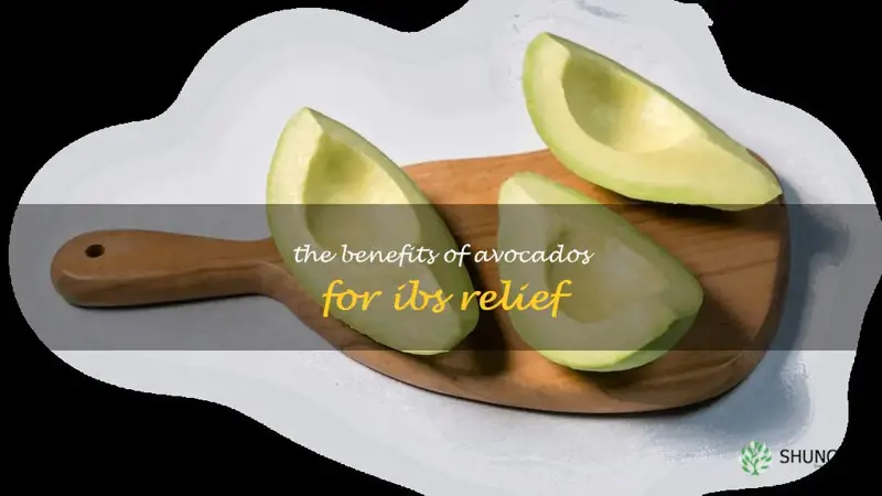 Are Avocados Good For Ibs