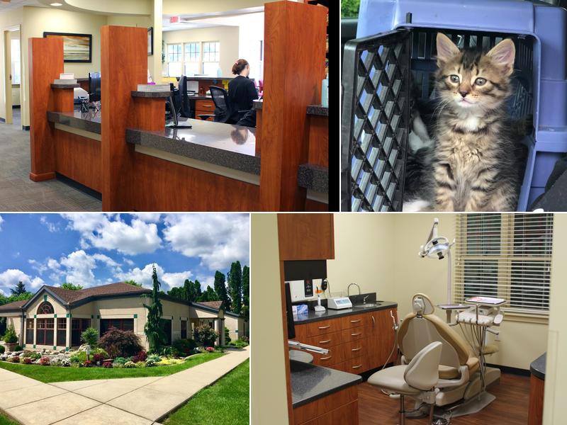 Aspen Dental Lebanon Pa