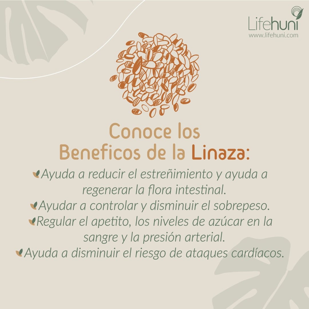 Beneficos De La Linaza