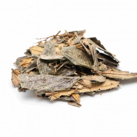 Canela De Velho