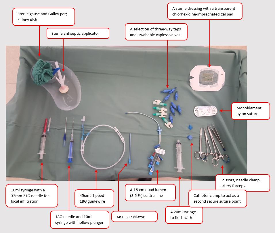 Central Venous Catheter Flush