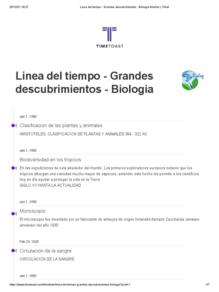 Corrientes De Teor A Curricular A Lo Largo Del Tiempo Timeline Timet Corrientes De Teor A Curricular A Lo Largo Del Tiempo Timeline Timet