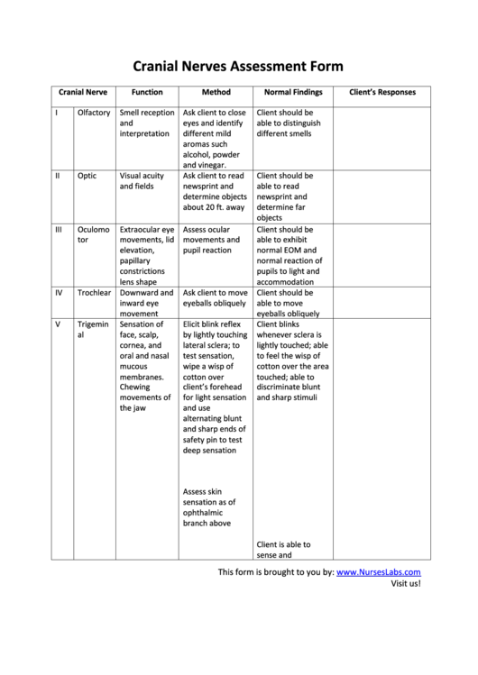Cranial Nerve Assessment Chart