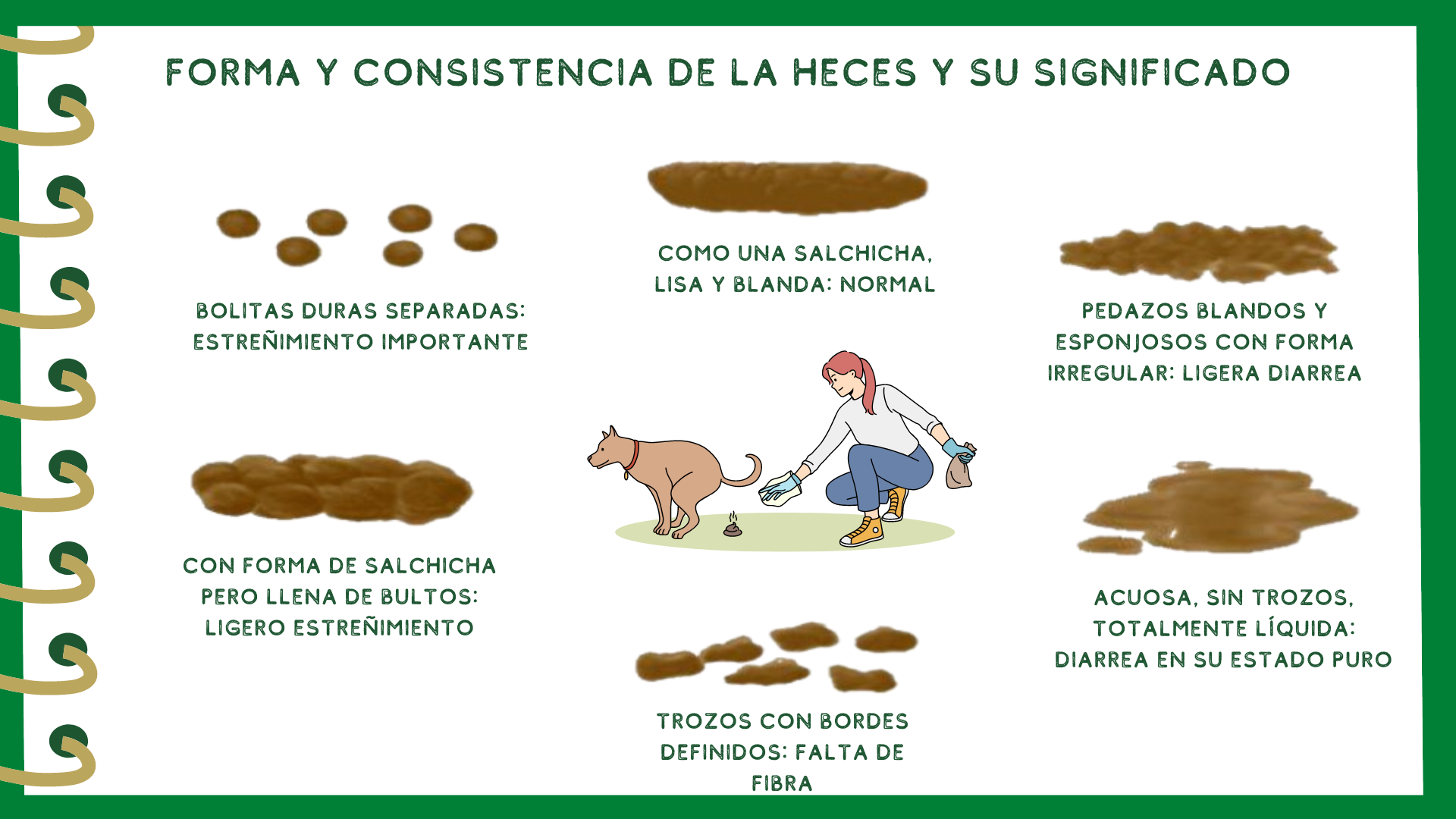 Dientes Humanos: Todo Lo Que Debes Saber