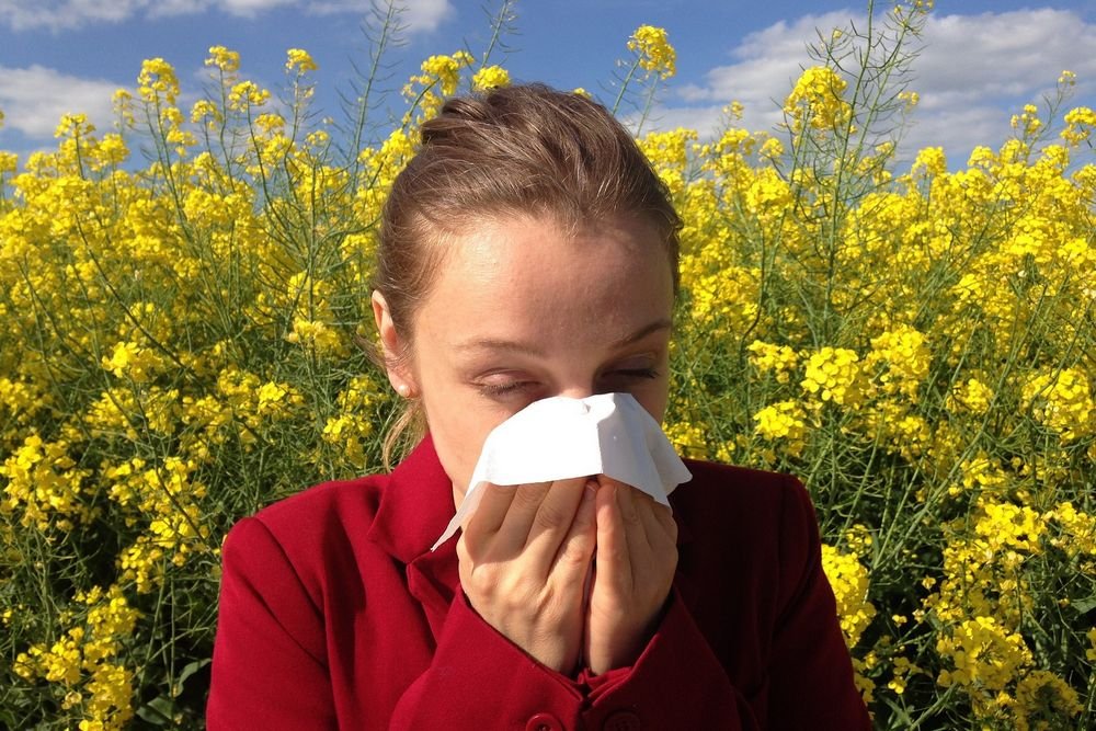 Green Tea Allergy: Find Safe Alternatives Now