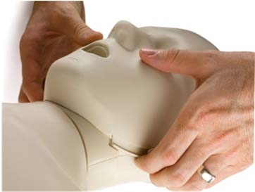 How To Do Jaw Thrust Cpr? Stepbystep Guide
