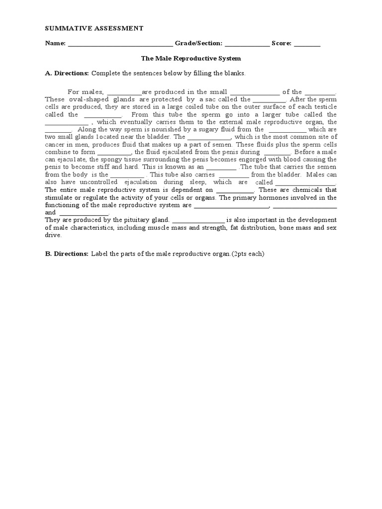 Male Reproductive Quiz Male Reproductive Quiz