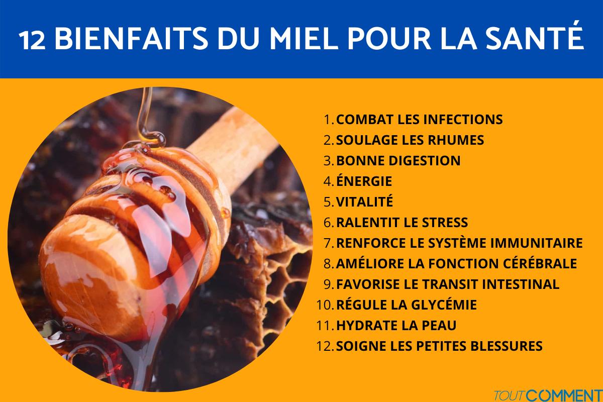 Moringa En Poudre : Bienfaits Pour La Santé