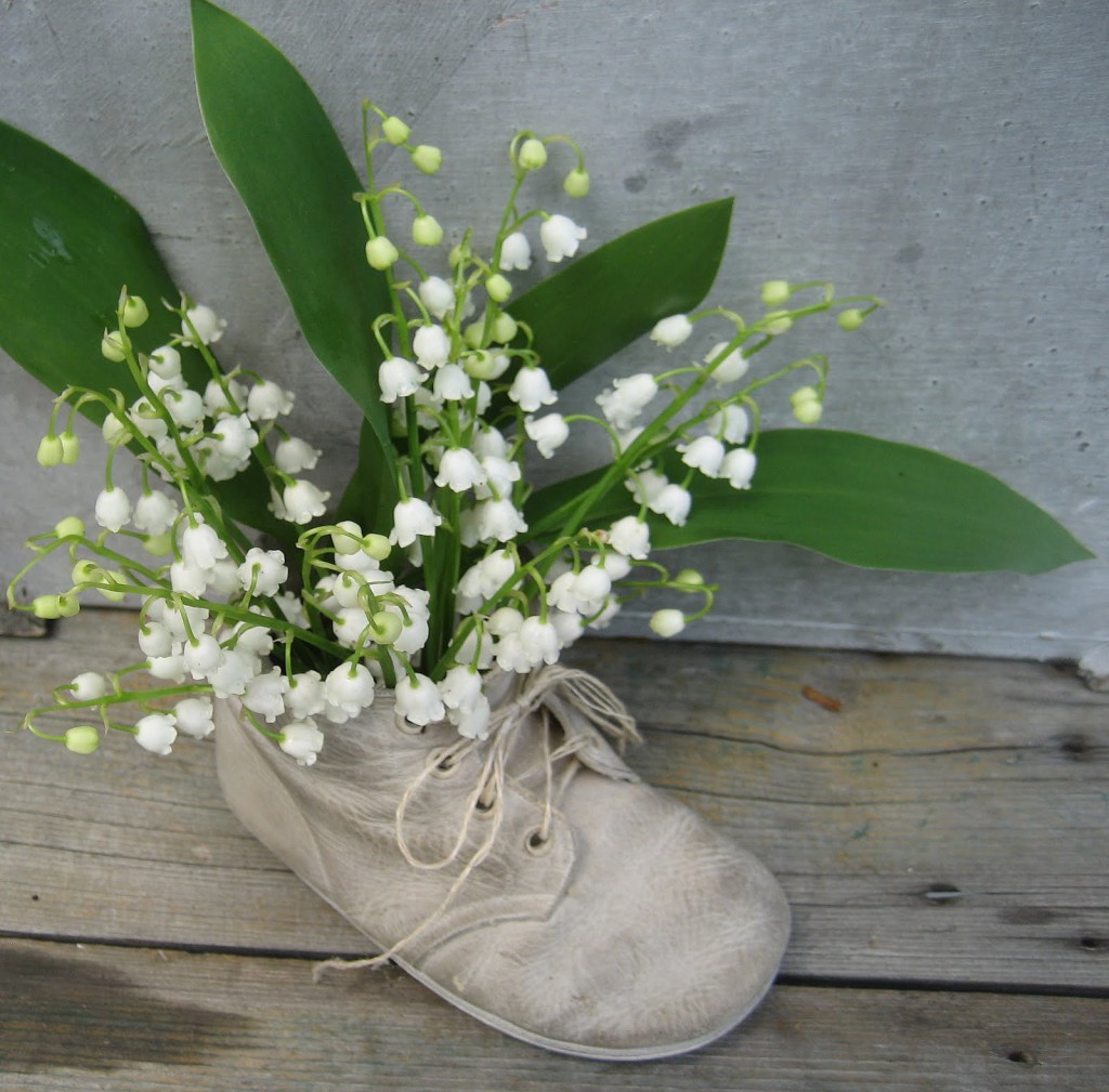 Muguet Bouche Bebe