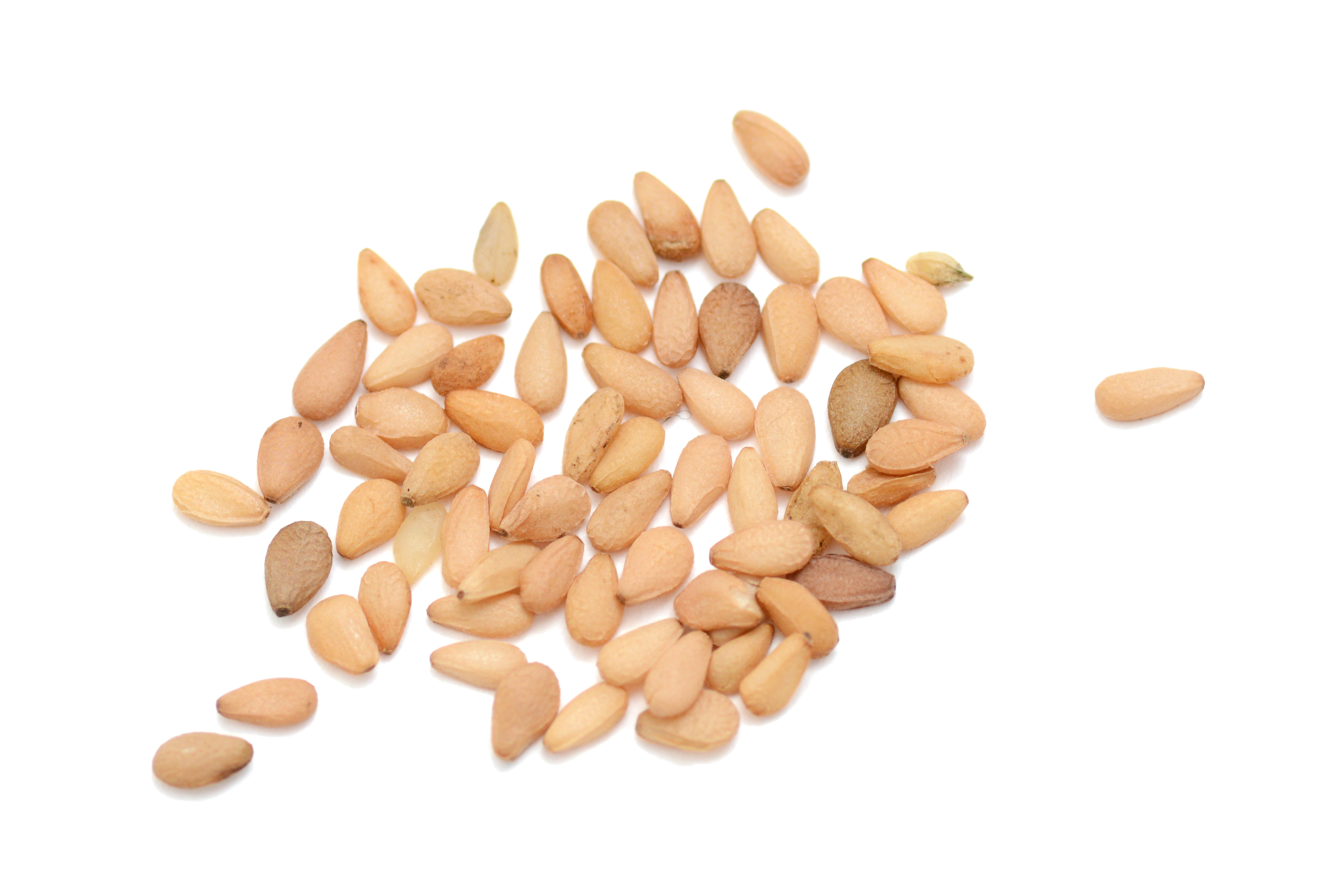 Nut Allergy: Safe Sesame Seed Alternatives