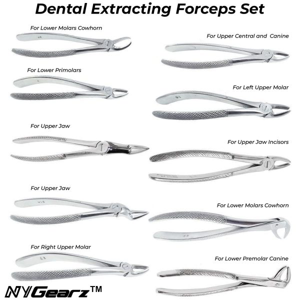 Nygearz Dental Extracting Forceps Instruments Set 10 Pcs Nygearz Nygearz Dental Extracting Forceps Instruments Set 10 Pcs Nygearz