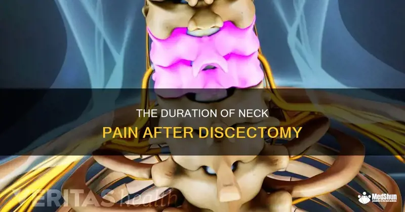 Pain After A Discectomy