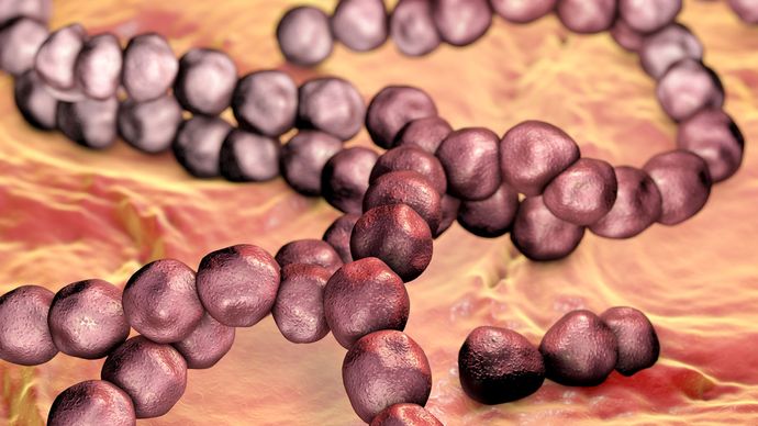 S Mutans Treatment