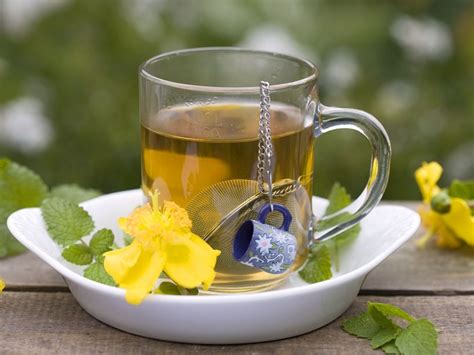St John's Wort Tea Recipe