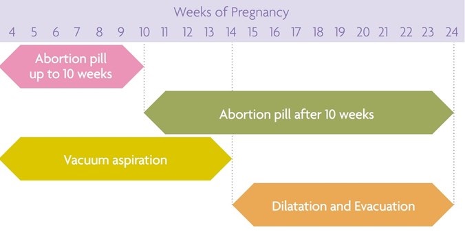 Types Of Abortion Pdf