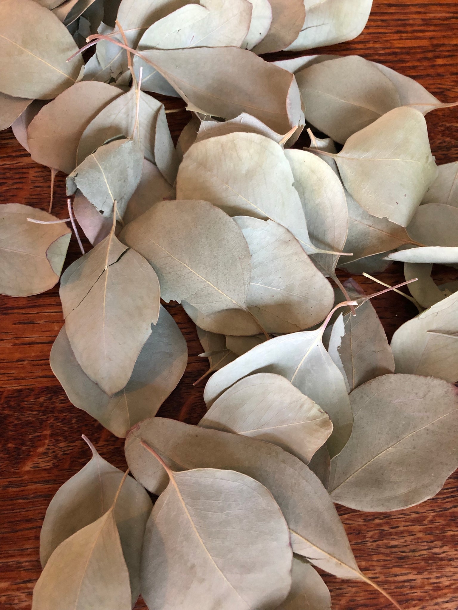 What Are Dried Eucalyptus Uses? Natural Remedies