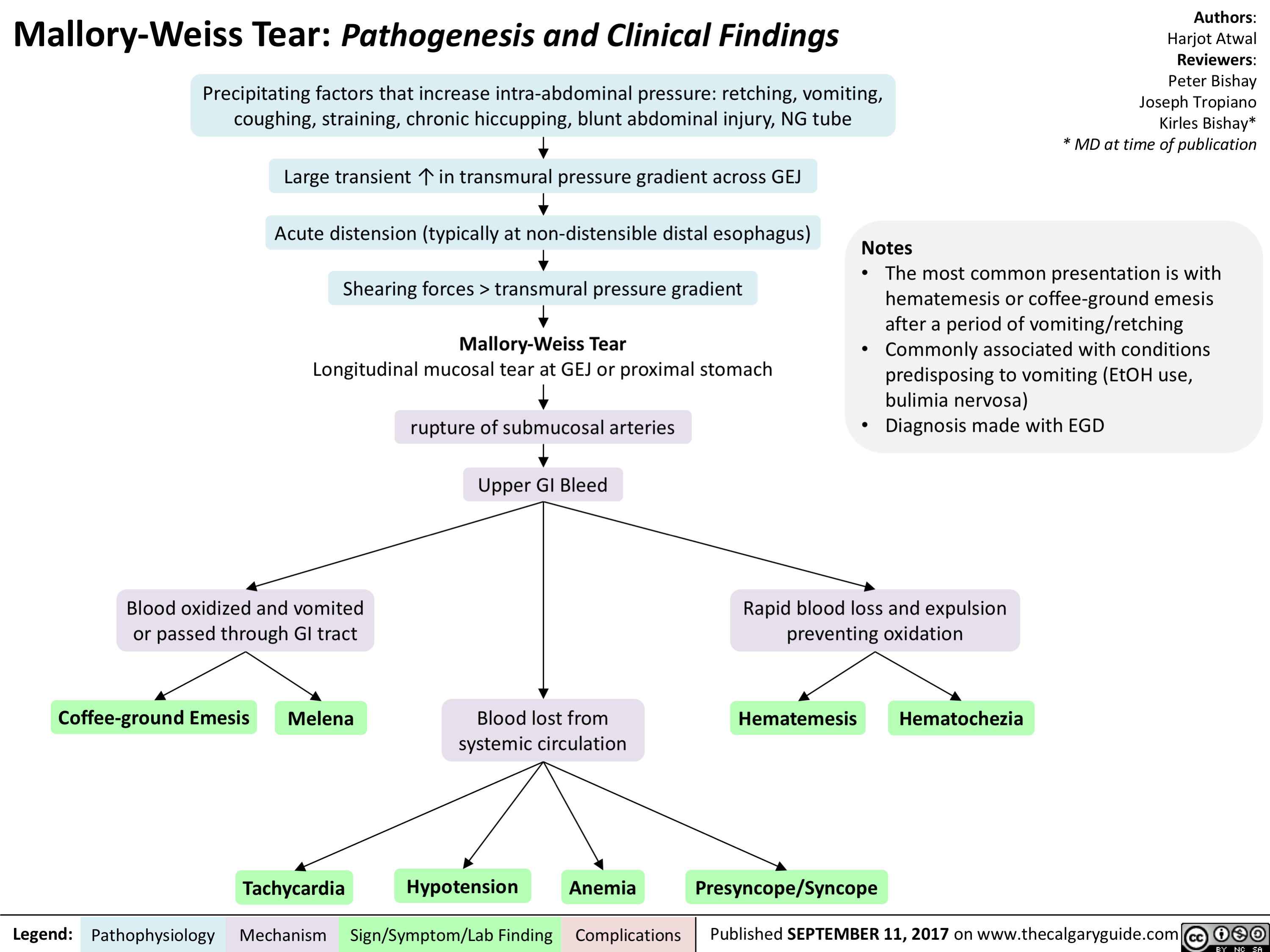 What Causes Mallory Weiss Tear? Healing Tips