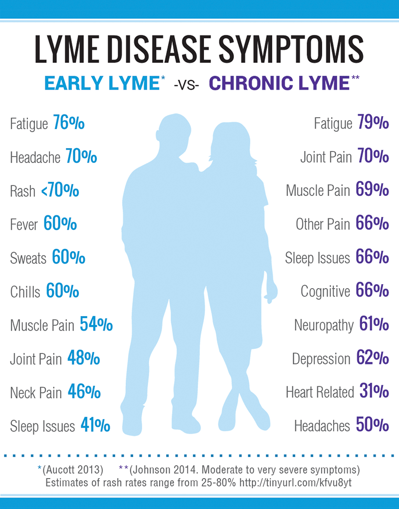 What Is Lyme Disease? Know The Symptoms What Is Lyme Disease? Know The Symptoms