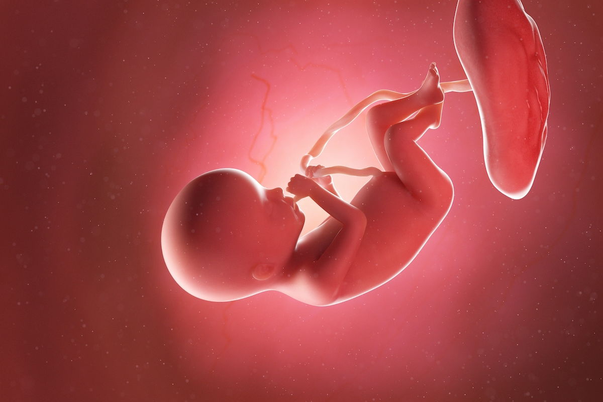 When Do Symptoms Peak At 20 Semanas De Gestação? Relief Tips